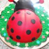 Cake #00003