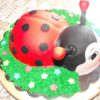 Cake #00003