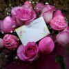 Cake #00134 - Image 3